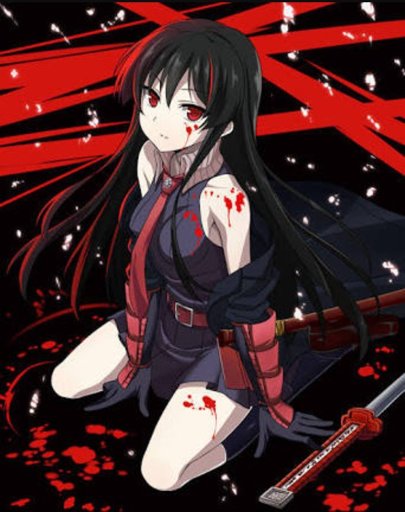 Akame Of The Demon Sword Murasame Anime Amino 