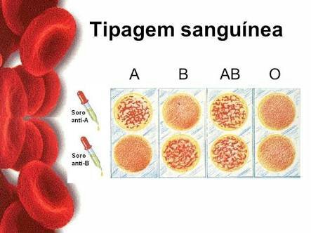 Tipagem Sanguínea (ABO E RH) | Enem Amino Amino