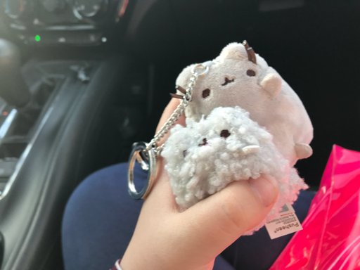 pusheen and stormy keychain