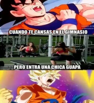 Memes de Goku | DRAGON BALL ESPAÑOL Amino