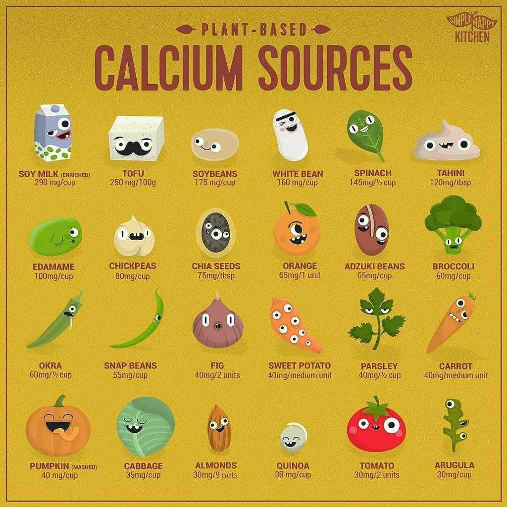 Plant Based Calcium Sources Vegan Amino