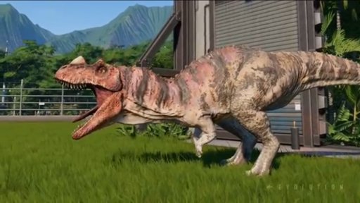 jwe ceratosaurus