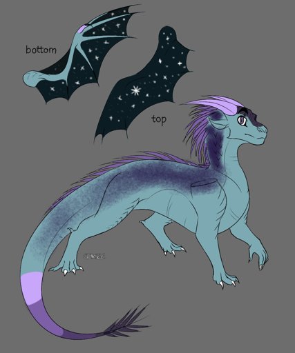 Ice Adopt Wings Of Fire Amino