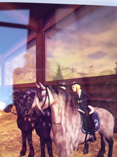 Club Information Wiki Star Stable Online Amino