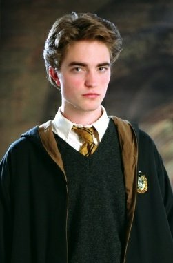 cedric diggory hufflepuff prefecto harrypotter chistes haustier forgot prefectos destacado