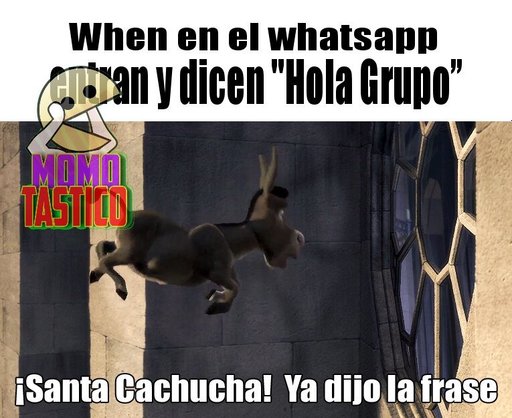 Segundo Momasho V Memes Amino Espanol Amino