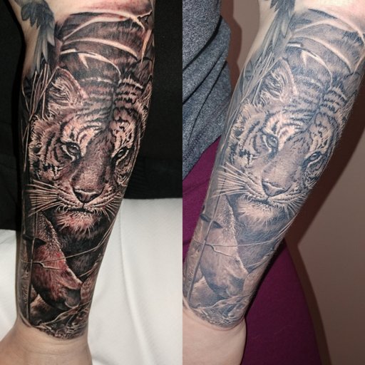 fresh-ink-vs-healed-ink-tattoo-amino