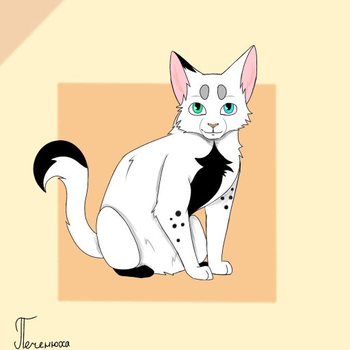 Законченные работы | •° Коты-Воители •° Amino