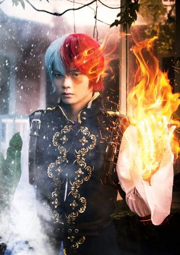 todoroki fantasy cosplay