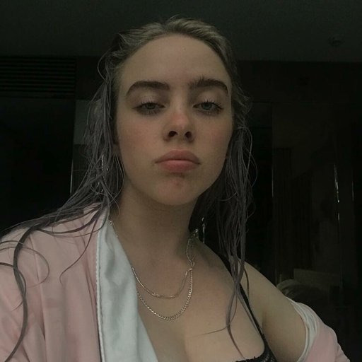 Billie Eilish Wiki Lesbians Unite Amino