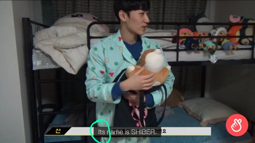 shiber plush ateez