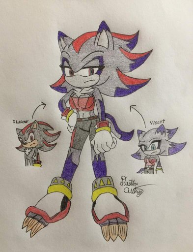 sonic pic fusion