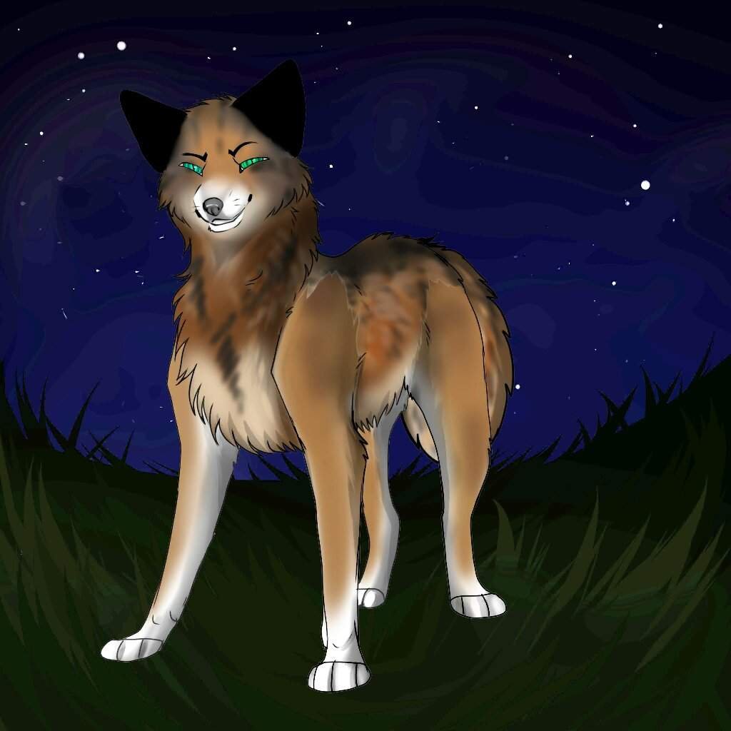 Блэк | Wiki | •°Хроники Стаи°• Amino