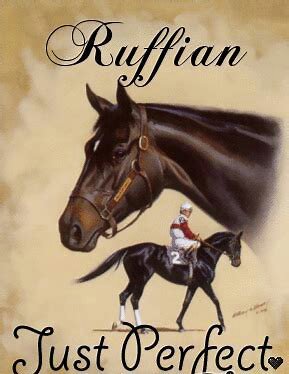 Ruffian Pferd Wikipedia