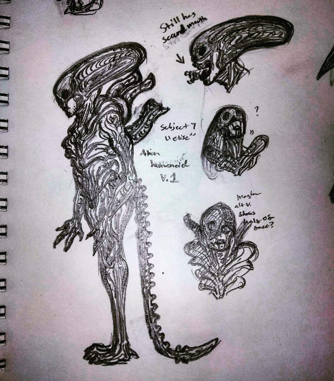 Alien stuff and other doodles Alien Versus Predator