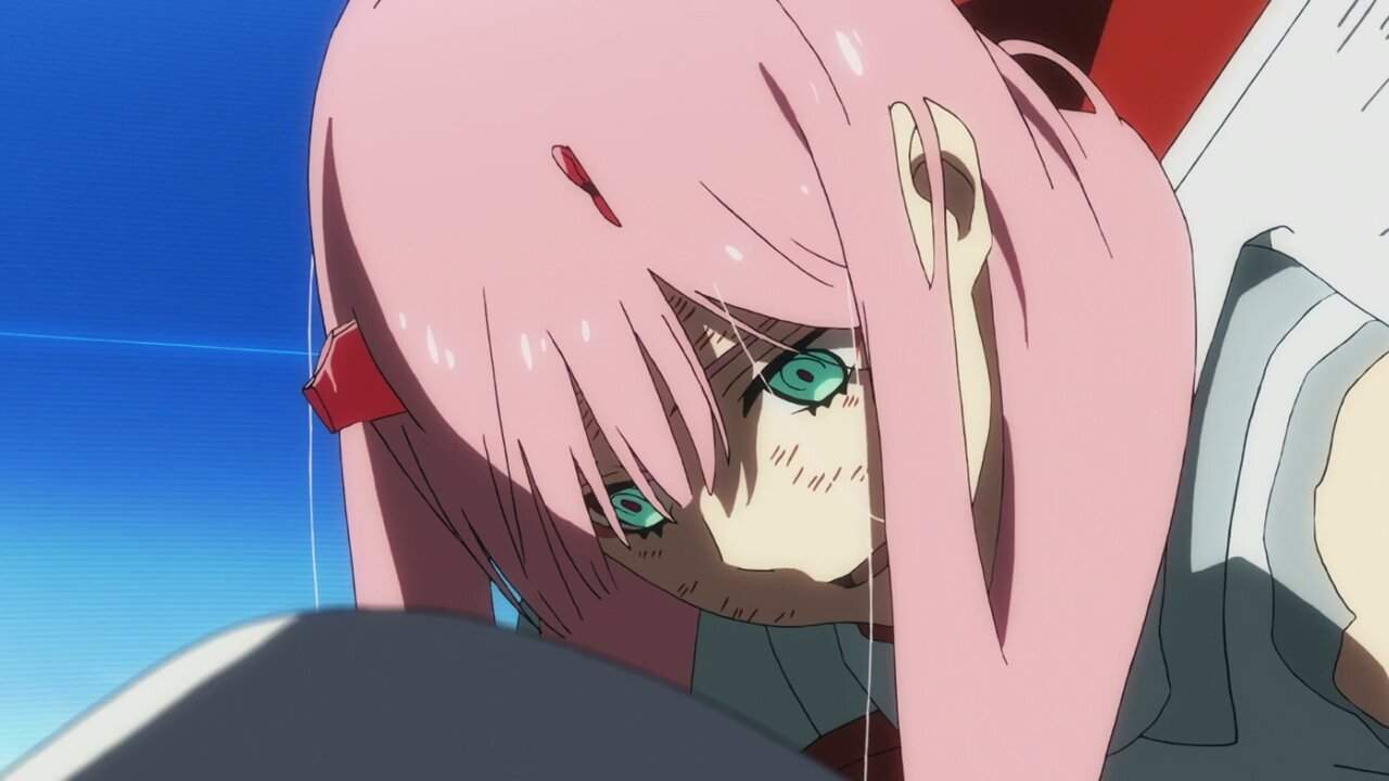 I think my Zero Two is not working... 