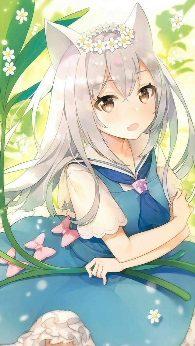 Suki | Wiki | Anime + Cuteness Amino