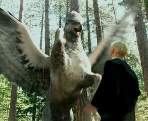 La Historia De Buckbeak | •Harry Potter• Español Amino