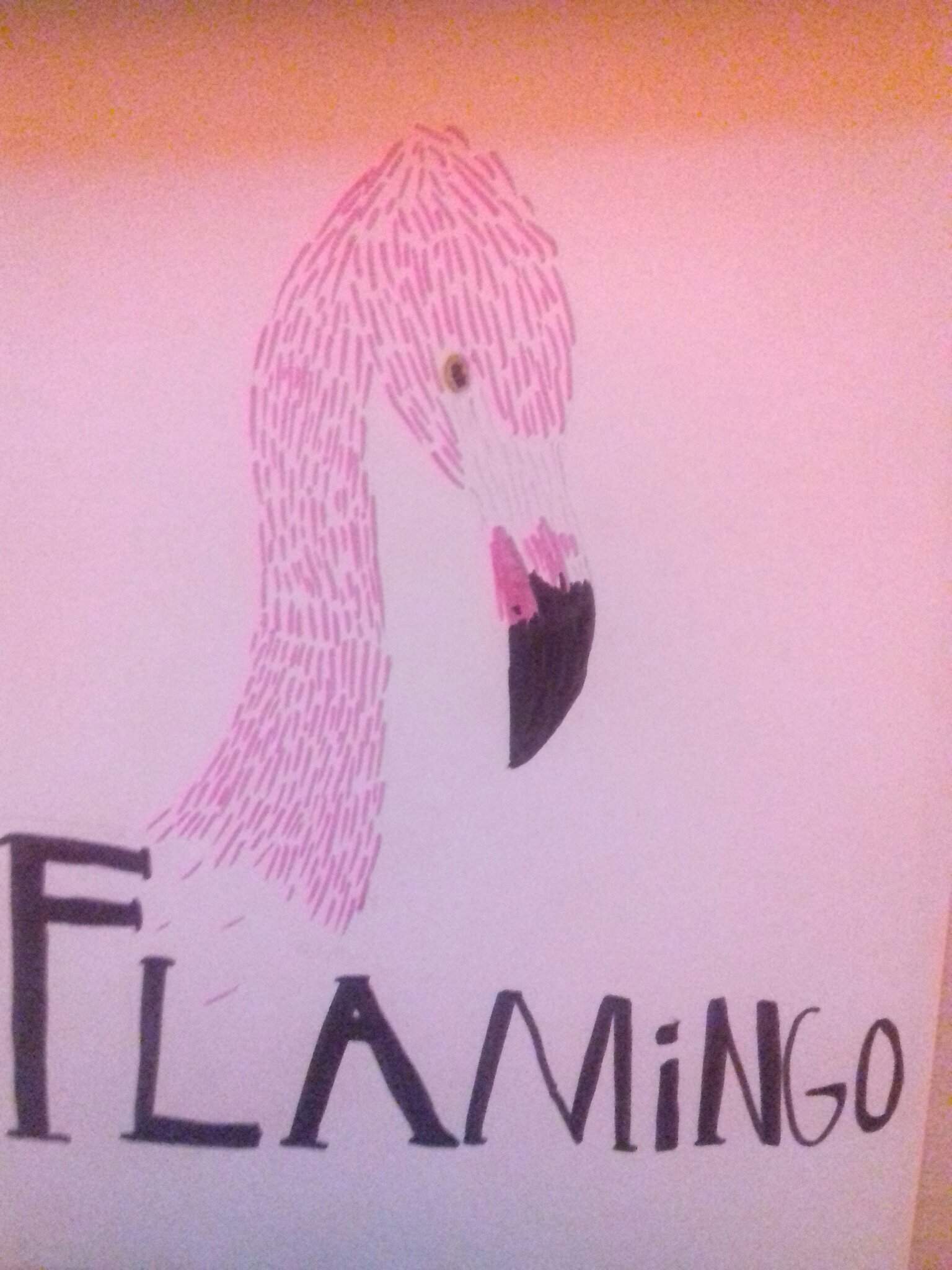 More flamingo fanart AlbertsStuff Amino.