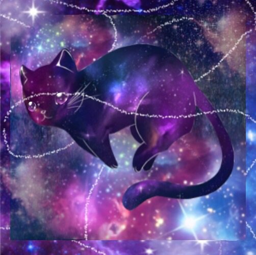 Space Kitten Warriors Amino