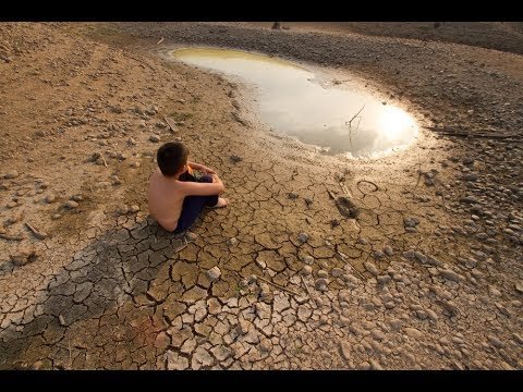 What would happen if water disappeared