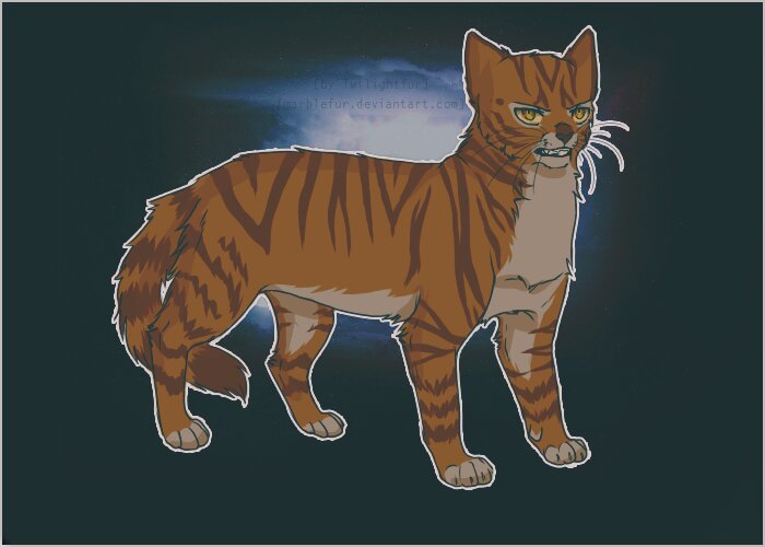 Клевер Wiki Warriors Cats RUS Amino.