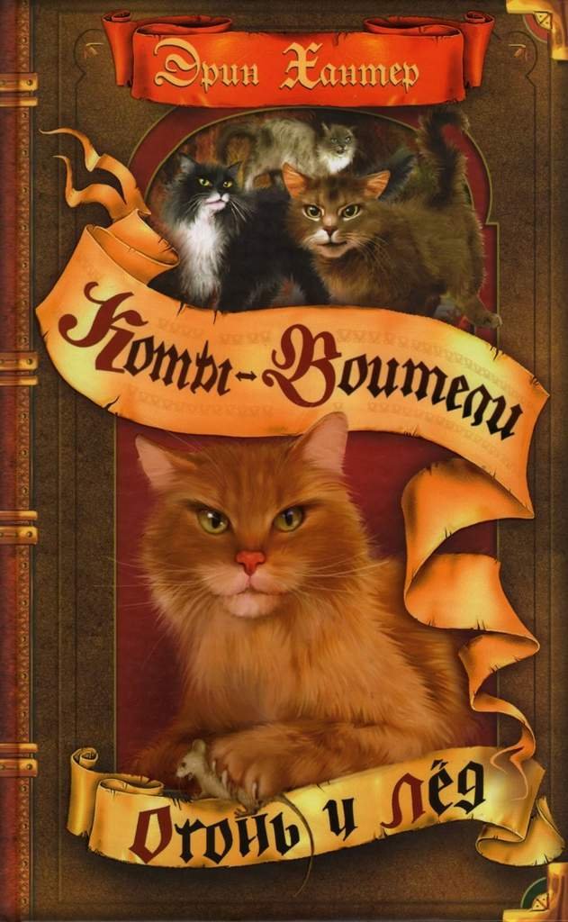 Коты воители 5 глава | Wiki | °.Коты-воители.° Amino