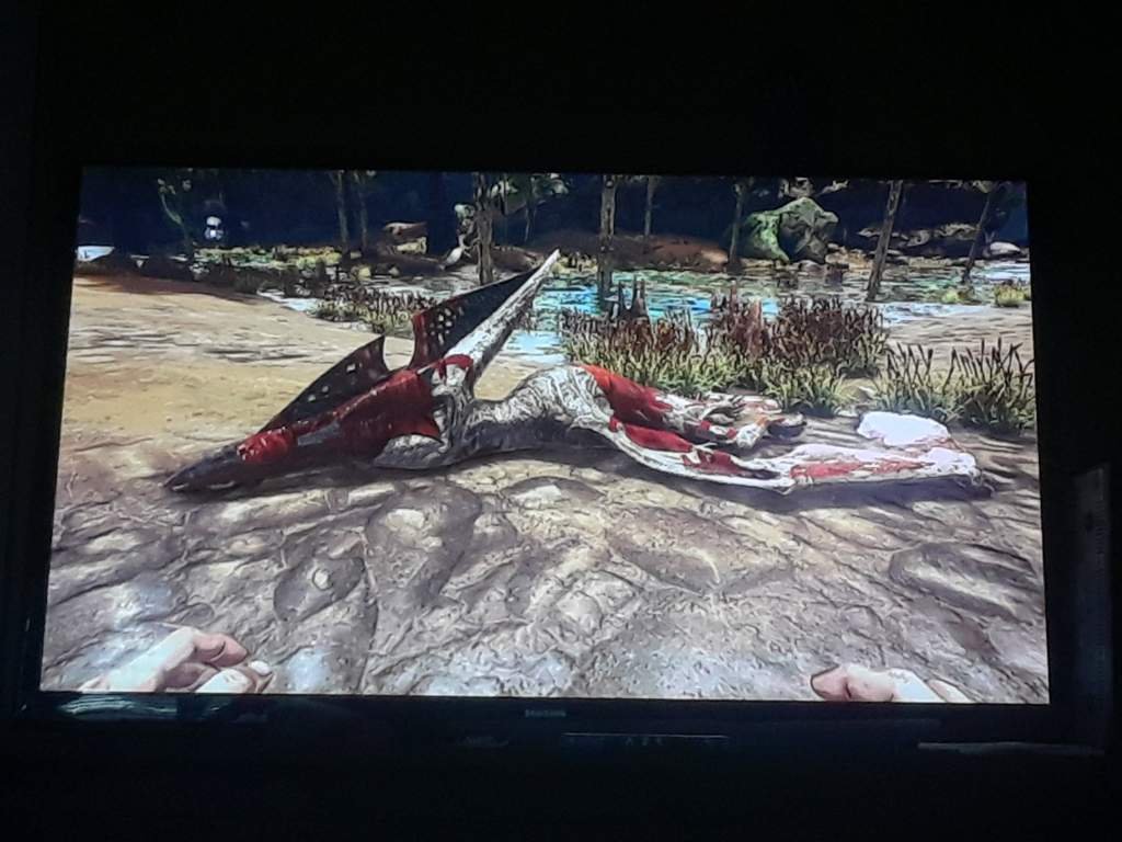 My Dinos died... Ark Survival Evolved Amino