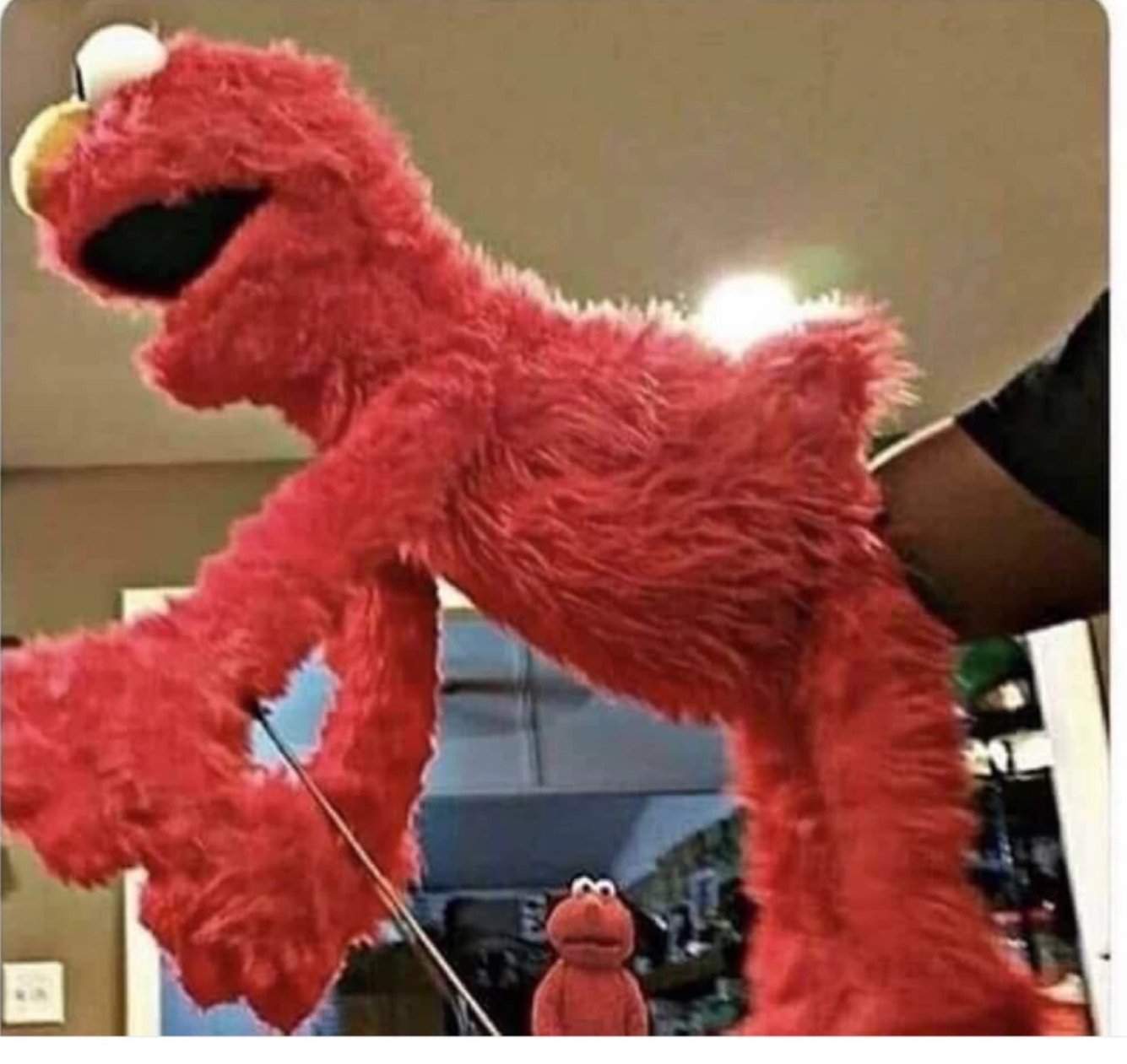 Despacito Reveal In Sesame Street Don T Talk To Elmo At Am Dank