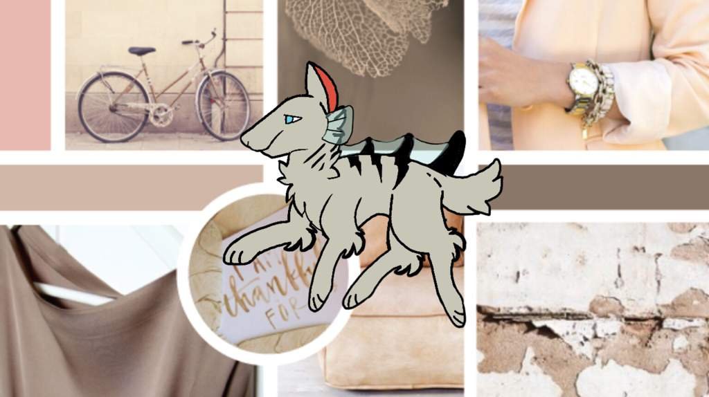 Flounder Wiki ℕɪᴄʜᴇ Amino