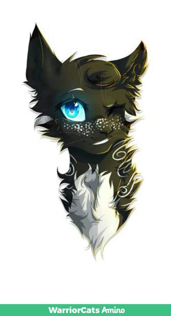 Чёрная тень | Wiki | Warriors Amino