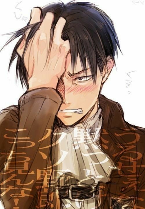 Is This Wrong Chapter 7 Teacher Levi X Student Reader