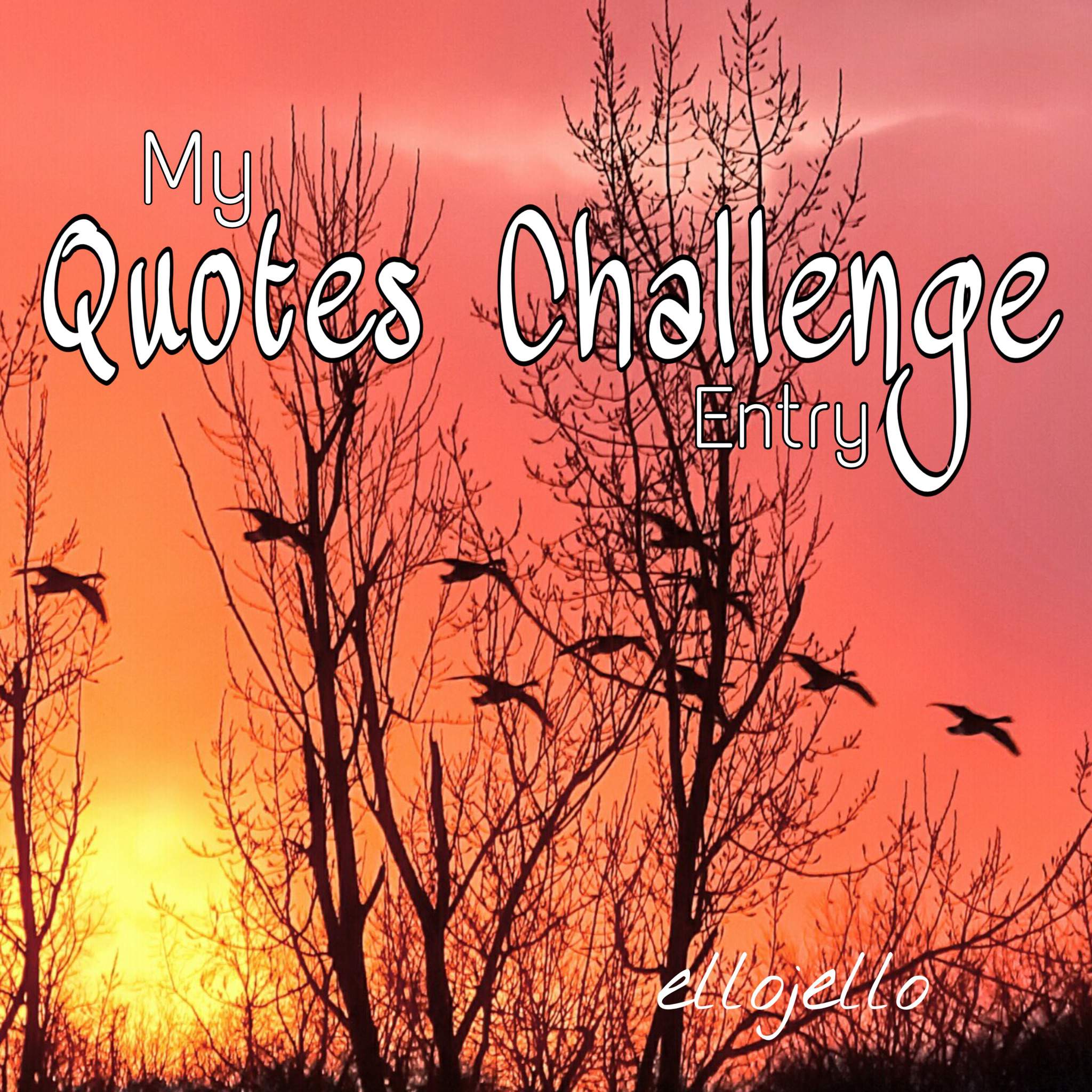 my-quotes-challenge-entry-the-outsiders-amino-amino