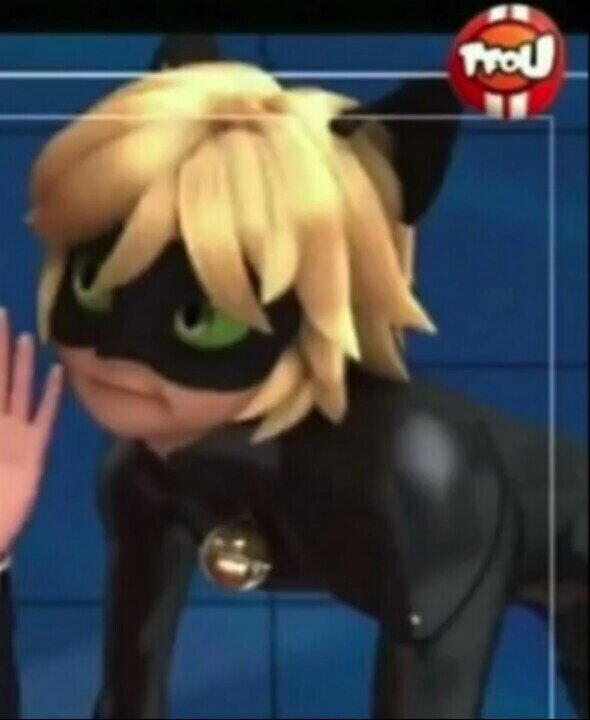 Featured image of post Chat Noir Being Cute - All the while holding his feelings close to his chest so no one would ever know.