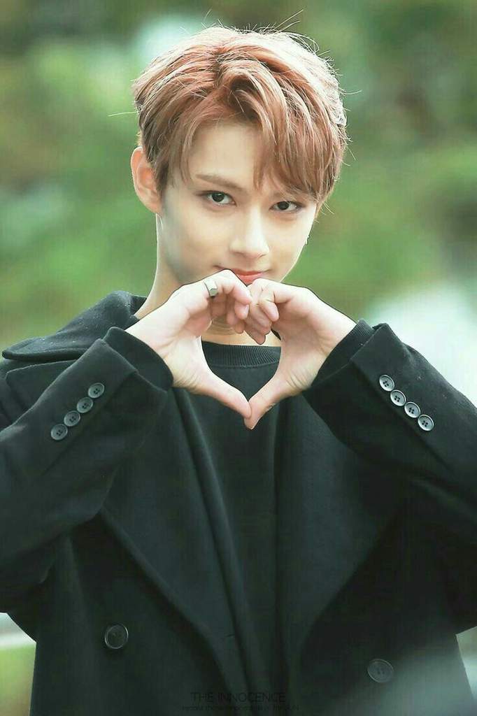 5 Pictures of Bias Wrecker Carat 캐럿 Amino