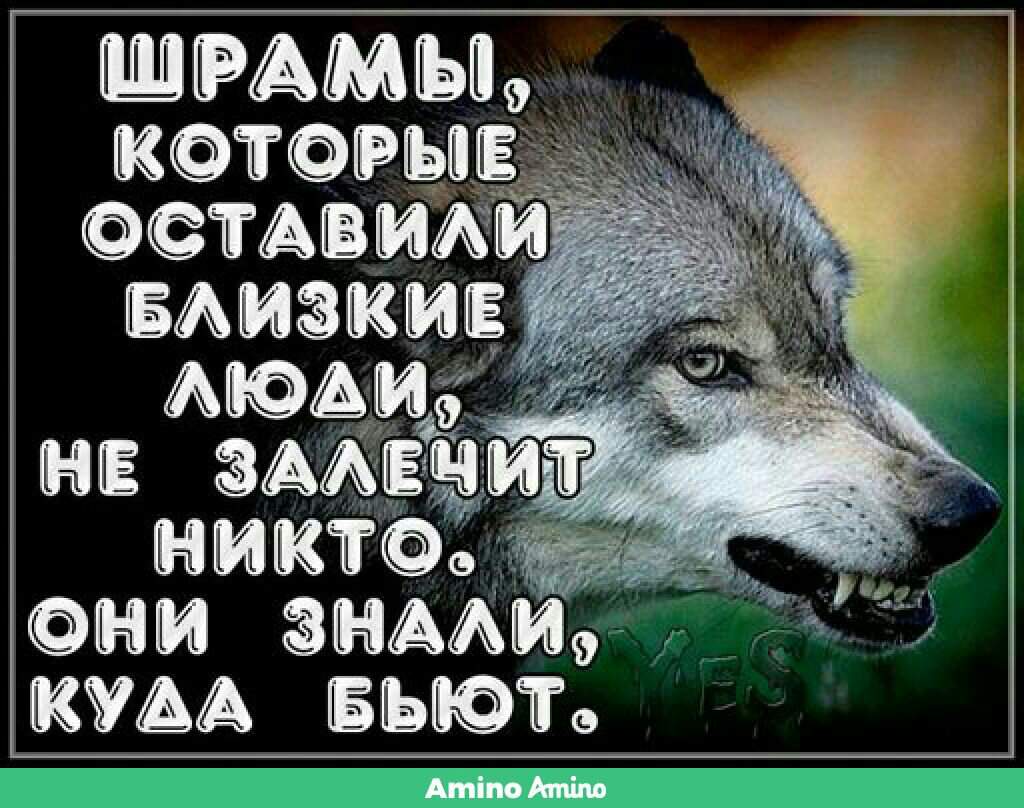 Картинки волков с надписями со смыслом про жизнь со смыслом