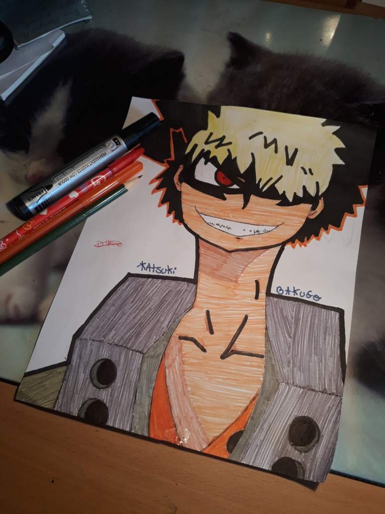 enfin fini 😪 My Hero Academia FR Amino