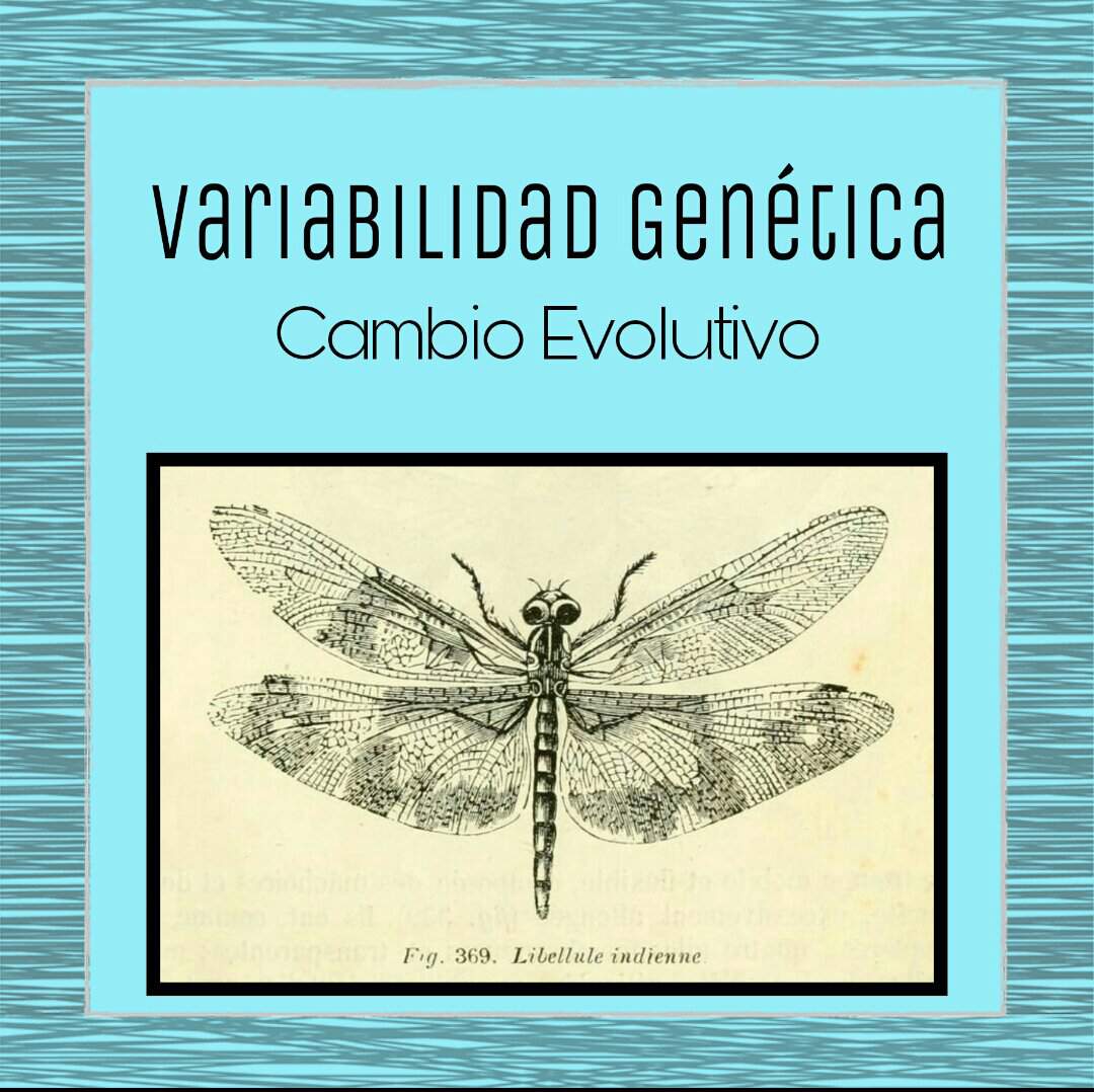 Variabilidad Genética | Cambio Evolutivo 💡 | Biología ∞ Amino