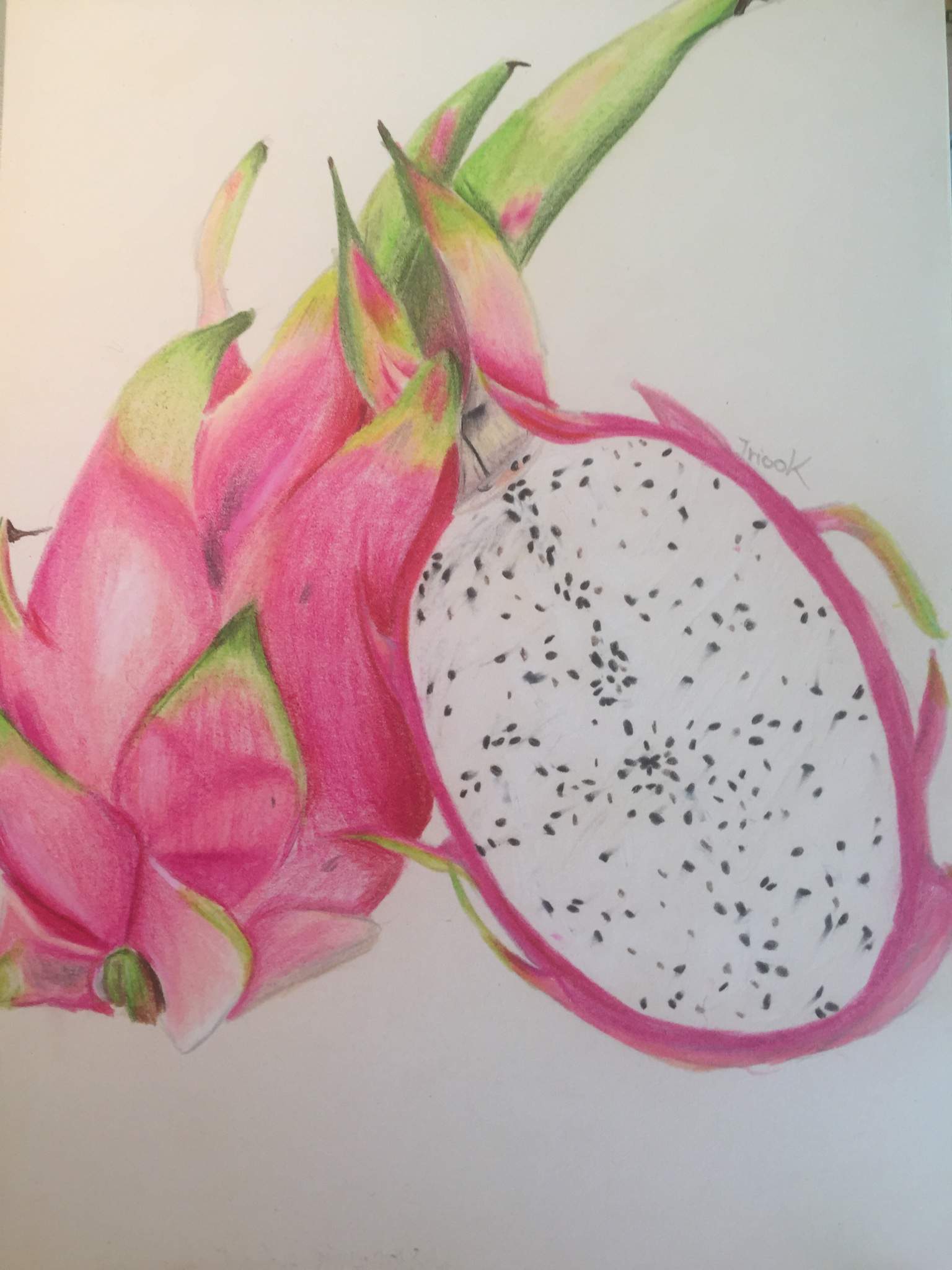 dragon-fruit-art-amino