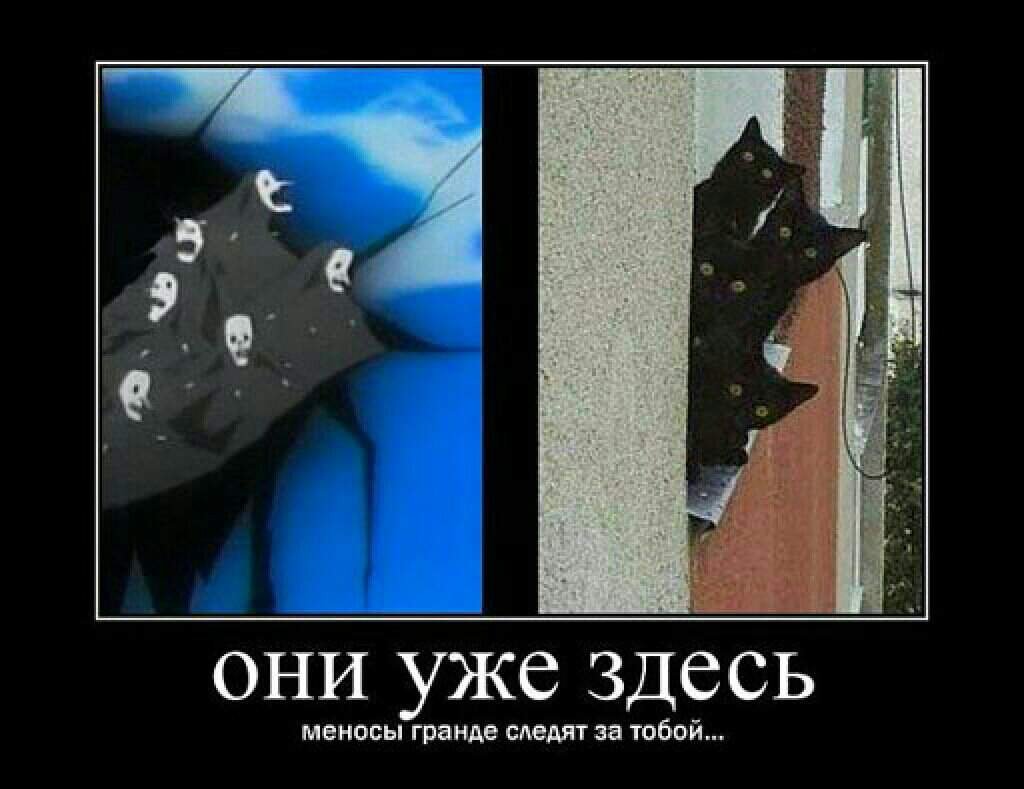 Блич Amino Amino