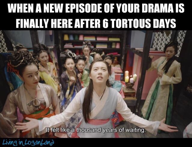 My Feeling Every Time A New Episode Of Lawless Lawyer Comes Out