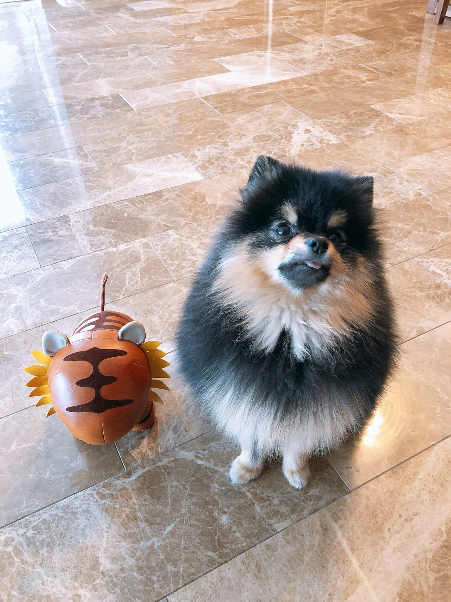 Yeontan | ARMY's Amino