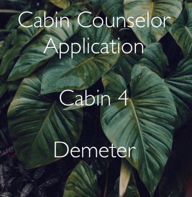 Cabin Counselor Application Cabin 4 Halfblood Amino