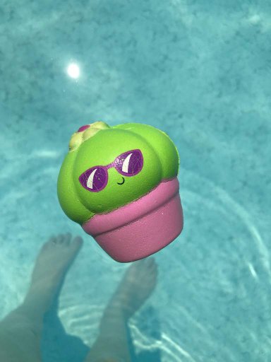 squish dee