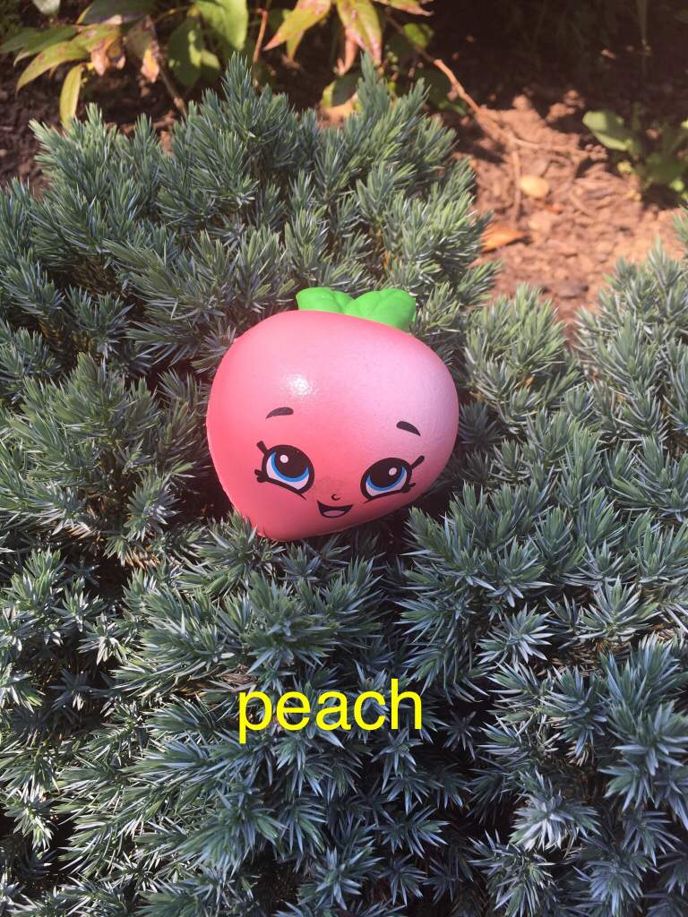 shopkins peach