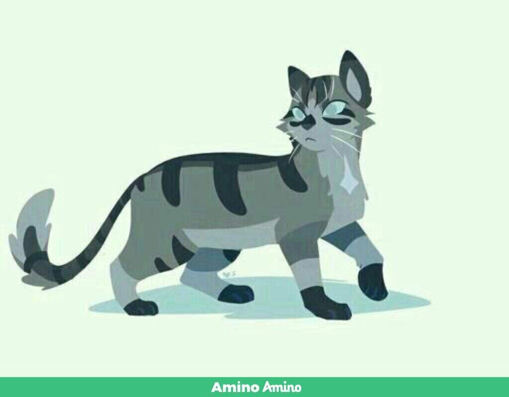Анкета | Wiki | Коты Воители ~РОЛЕВАЯ~🐈 Амино Amino