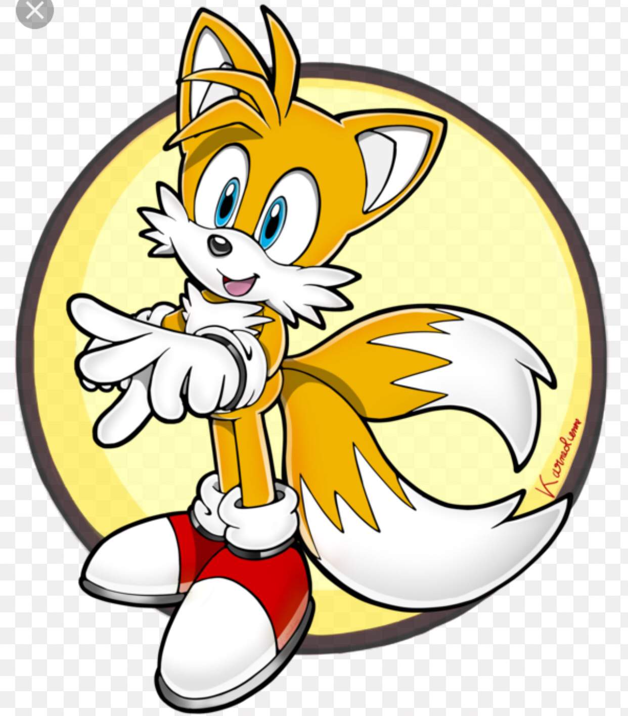 tails-the-fox-wiki-sonic-riders-amino-amino