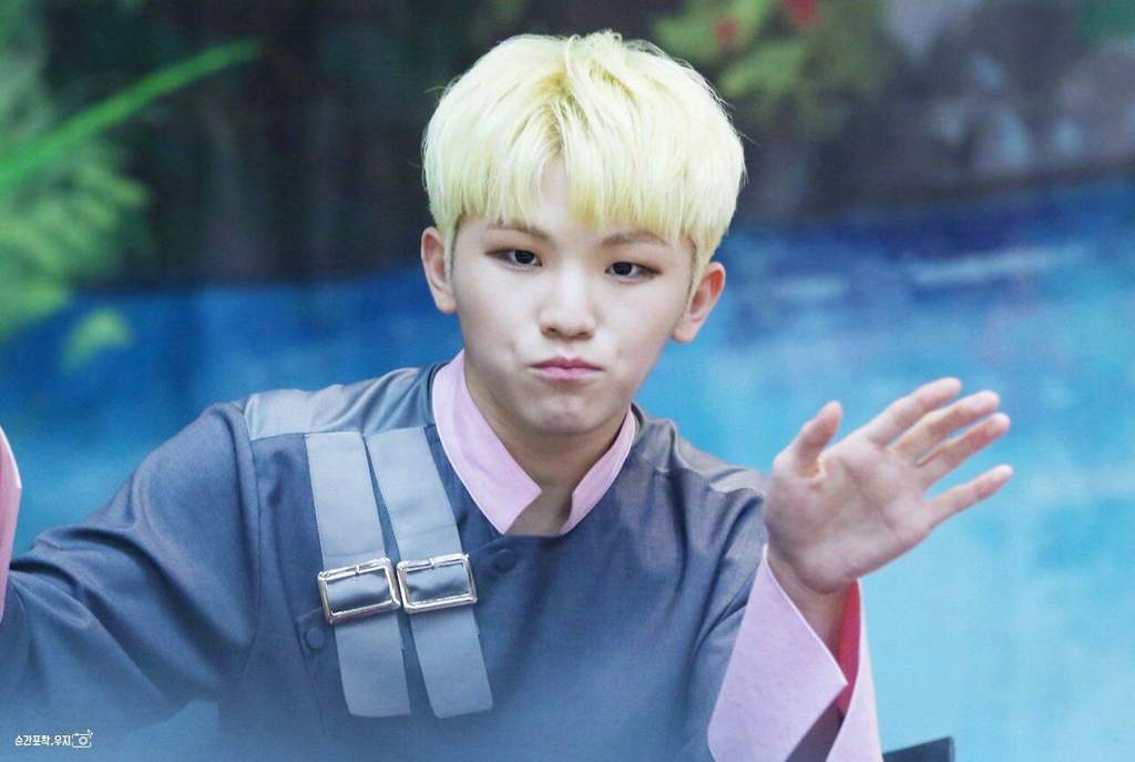 Woozi Cat Wiki Krp Bubble Blossom Town Amino