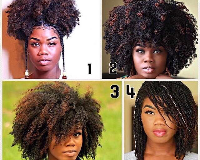 La Quelle🤔 Cheveux Crépus Mon Afro Amino