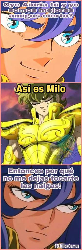 Porque Tiene Miedo A Que Lo Hagan Paleta Saint Seiya Yaoi Love Amino